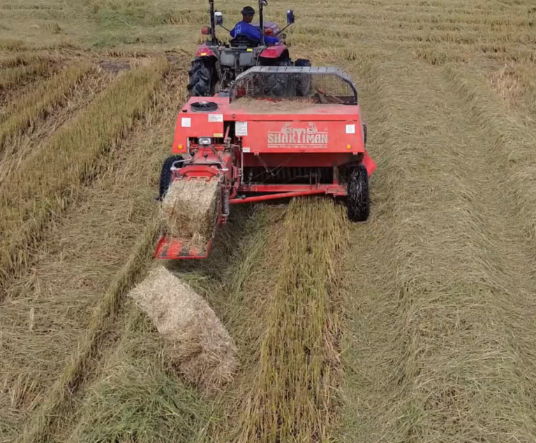 สกรีนช็อต 2025-02-21 130426